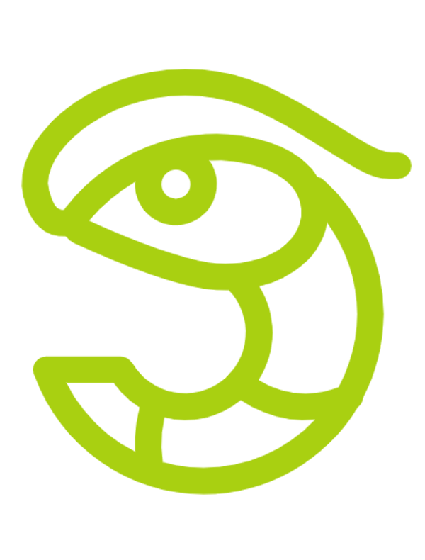 互聯(lián)網(wǎng)之光丨習近平引領網(wǎng)信事業(yè)發(fā)展——明確“十個堅持”重要原則